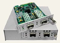  WDM- FlexGain WDM-1TP(3R)