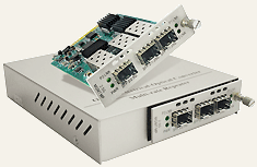 FlexGain WDM-P(21GE)
