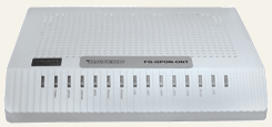 FG-GPON-ONT-4FE+2FXS